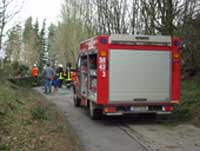 Typischer Windbruch: Tanne auf Straße, typischer Ort: Stolpe Richtung Milchstraße